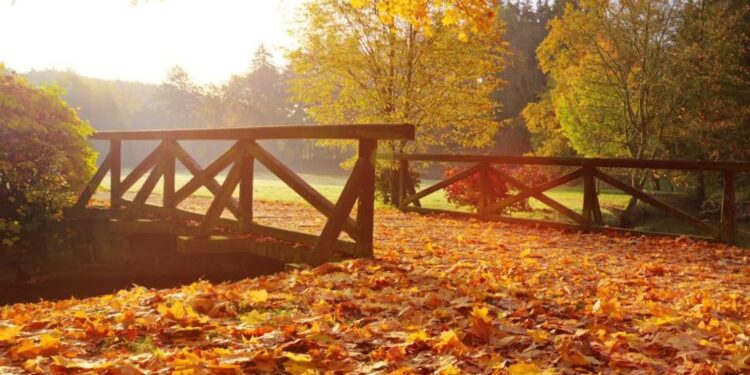 Muzeum Lubuskie / www.facebook.com