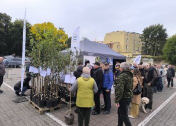 Smaki, muzyka i atrakcje. Festiwal Renety Landsberskiej