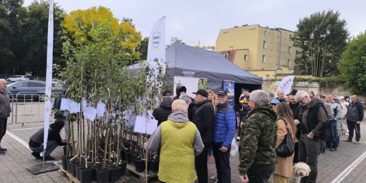 Smaki, muzyka i atrakcje. Festiwal Renety Landsberskiej