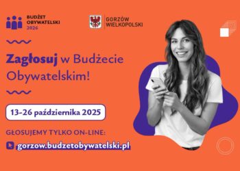 Głosujemy na parkiingi, chodniki i swiatła drogowe!