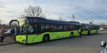 M. Pejski, MZK: „Autobusów jeździ więcej, niż jest w rozkładzie jazdy”