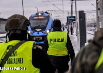 Policja prowadzi akcję Tor. Lubuscy funkcjonariusze też zaangażowani