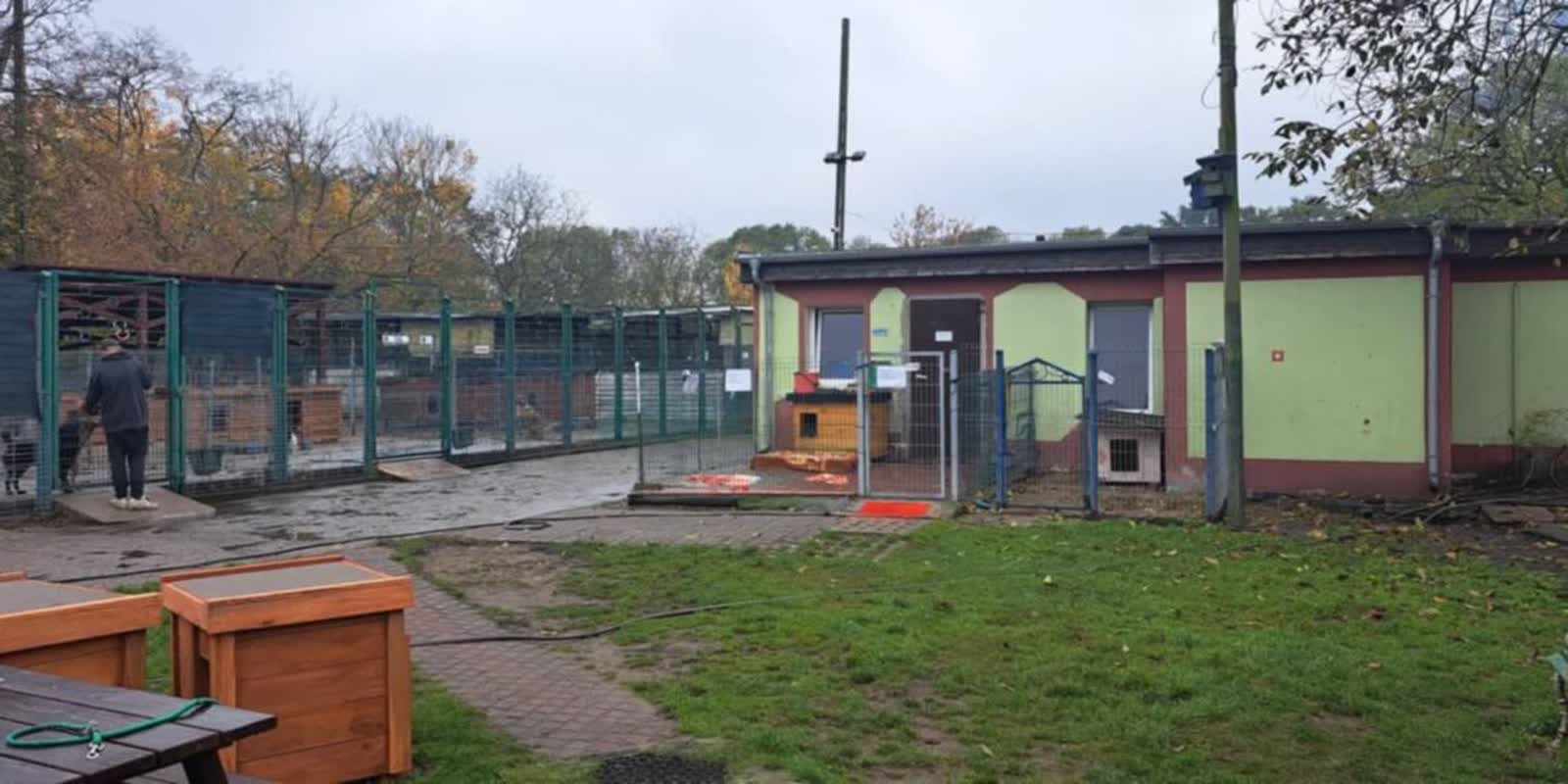 Gorzowskie schronisko wystartowało w konkursie. Liczy się każda złotówka