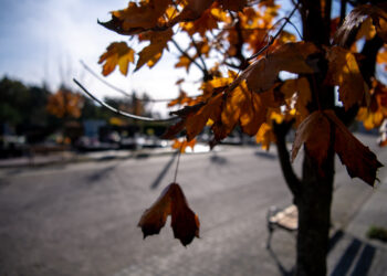Wszystkich Świętych i Zaduszki. Pogoda będzie sprzyjać