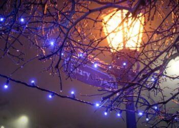 Karoca z końmi i świąteczna kapela