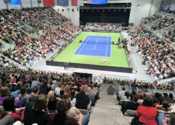 Studio Arena: Polska – Nowa Zelandia