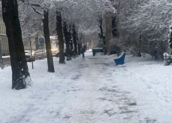 Gospodarstwa bez prądu po opadach śniegu w dolnośląskim.