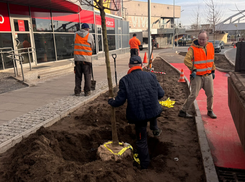 fot. Gorzowskie Inwestycje Miejskie