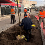 fot. Gorzowskie Inwestycje Miejskie