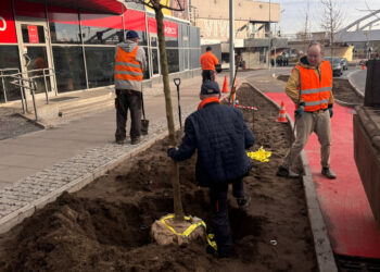 fot. Gorzowskie Inwestycje Miejskie