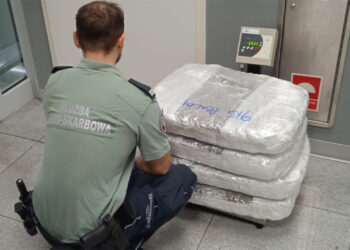 Próbowała wwieźć do Polski 40 kg marihuany. Obywatelska Szwecji zatrzymana na lotnisku Chopina