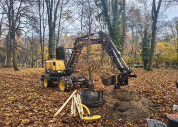 Sadzą drzewa. Łącznie będzie ich ponad 100