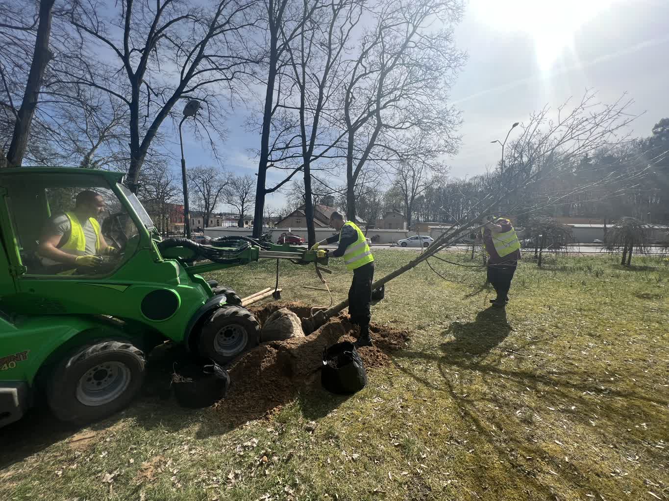 Jesienne nasadzenia w Gorzowie