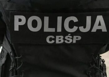 Grupa przestępcza rozbita: Skarb Państwa mógł stracić 53 mln zł