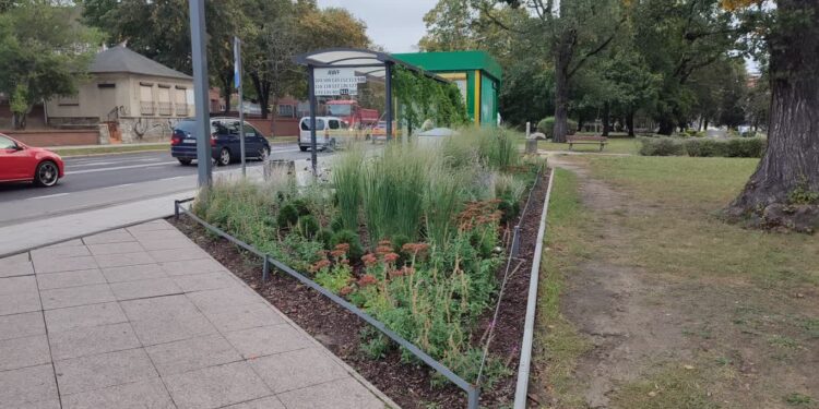 Co dalej z zielonymi przystankami?