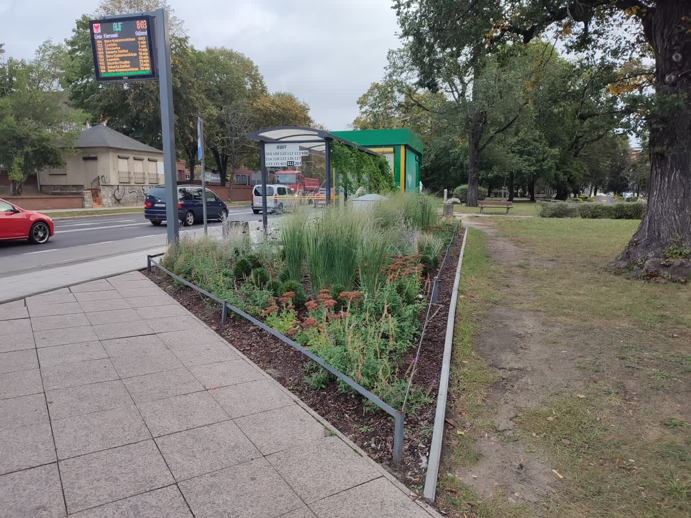 Co dalej z zielonymi przystankami?