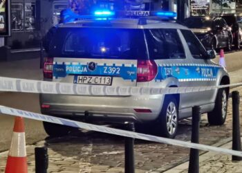 Strzały podczas interwencji policjantów na Podkarpaciu. Nie żyje agresywny mężczyzna