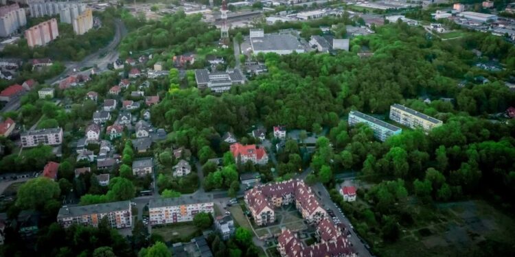 W Gorzowie będzie więcej zieleni, mniej betonu. Milionowe inwestycje ograniczą skutki ekstremalnej pogody?