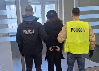 Zarzuty dla 35-latka, który zaatakował interweniującego policjanta