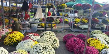 Przy cmentarzu handel kwitnie