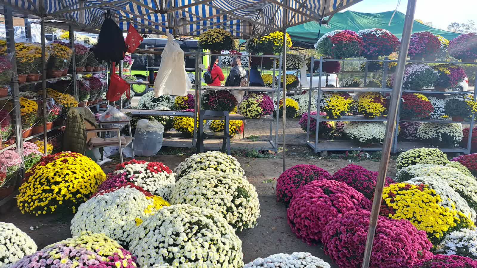 Przy cmentarzu handel kwitnie