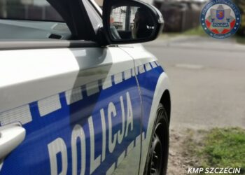 Proces w sprawie zabójstwa noworodka. Matka oskarża córkę, a córka matkę