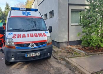 Harcerze-ratownicy dbają o zdrowie na gorzowskim cmentarzu