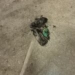 Fot. materiały prasowe