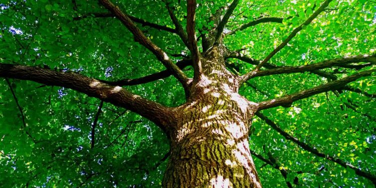 Gorzów / www.facebook.com