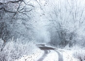 Południe kraju pod śniegiem. Co nas czeka w weekend?
