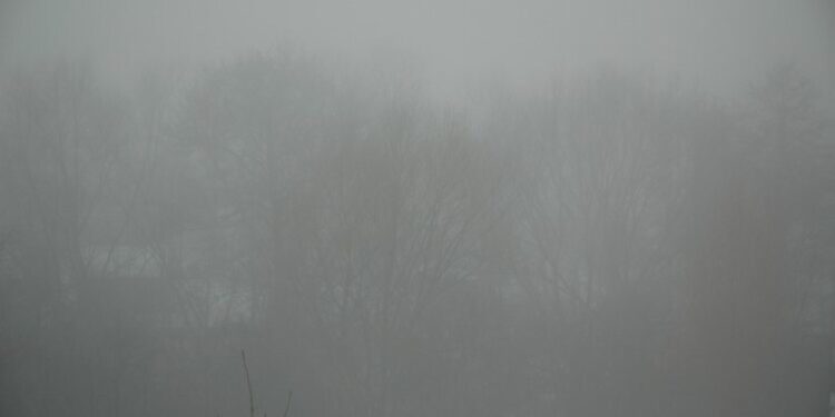 Gęsta mgła w Lubuskiem