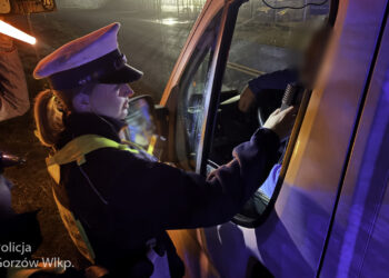 Pijani kierowcy w Kostrzynie Nad Odrą