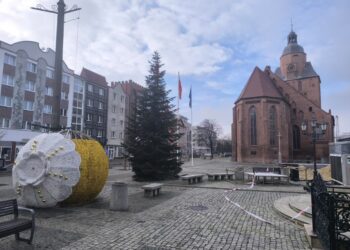 Choinka już stoi, ozdoby są ustawiane