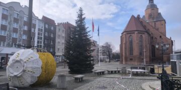 Choinka już stoi, ozdoby są ustawiane