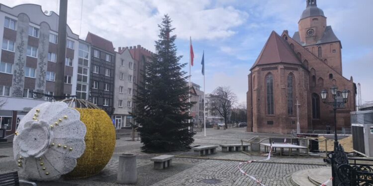 Choinka już stoi, ozdoby są ustawiane