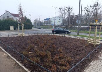 Nowy eko-skwer na Osiedlu Piaski