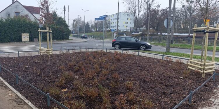 Nowy eko-skwer na Osiedlu Piaski