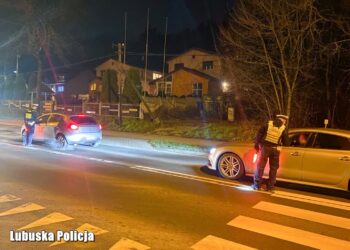 Piętnastu pijanych kierowców w jeden wieczór