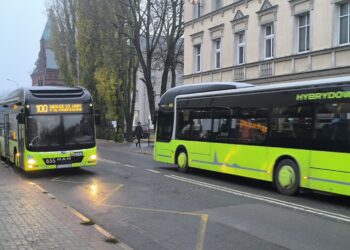 F. Rogala: to rozwiązanie się sprawdziło