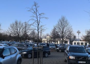 Wigilia na gorzowskim cmentarzu