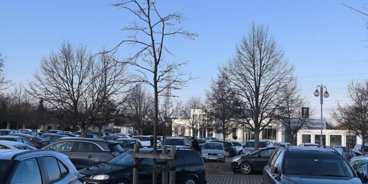 Wigilia na gorzowskim cmentarzu