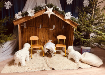 Fot. Piotr Wiśniewski