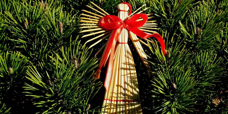 Choinka niejedno ma imię Skąd się wzięła w Polsce?