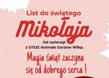 Świąteczne prośby czworonogów