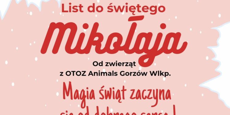 Świąteczne prośby czworonogów