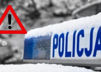 Szczątki obiektu przypominającego drona znalezione w lesie w powiecie radzyńskim