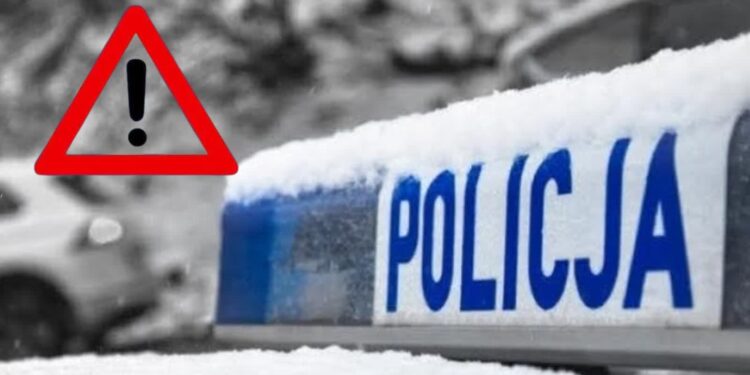 Szczątki obiektu przypominającego drona znalezione w lesie w powiecie radzyńskim