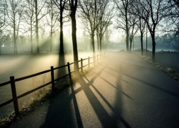 W weekend duże zachmurzenie i gęste mgły