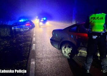 Zaatakował policjanta gazem i zaczął uciekać. 24-latek z zarzutami