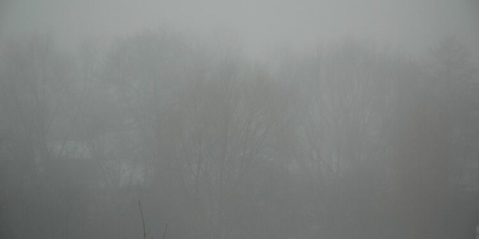 Dziś gęste mgły w Lubuskiem